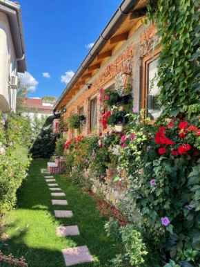 Flower House in the City Center!